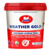 Sơn Ngói Chống Thấm Weather Gold